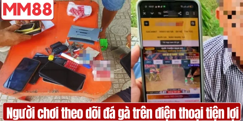 Đá Gà MM88 Cược Trực Tiếp Livestream Thời Gian Thực Người chơi theo dõi đá gà trên điện thoại tiện lợi