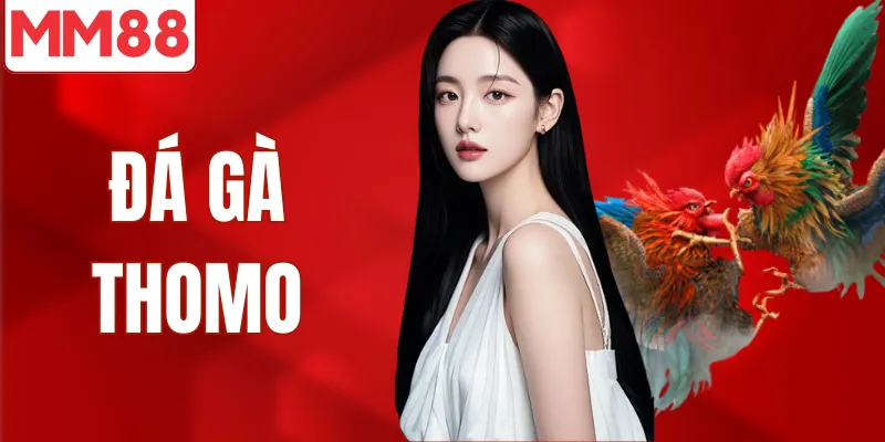 Đá Gà Thomo Uy Tín Hấp Dẫn Dành Cho Người Mới Sảnh đá gà thomo được ưa thích nhất trong các sảnh đá gà